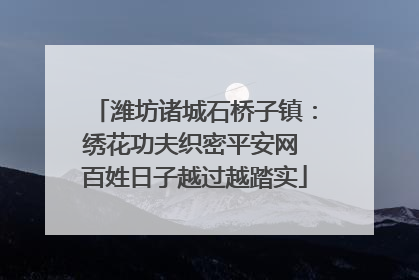 潍坊诸城石桥子镇：绣花功夫织密平安网 百姓日子越过越踏实