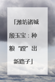 潍坊诸城殷玉宝：种粮“蹚”出新路子