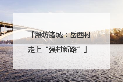 潍坊诸城：岳西村走上“强村新路”