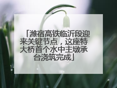 潍宿高铁临沂段迎来关键节点，这座特大桥首个水中主墩承台浇筑完成