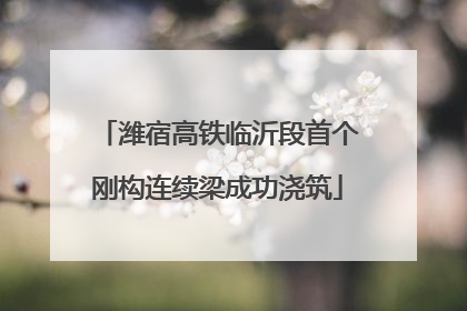 潍宿高铁临沂段首个刚构连续梁成功浇筑