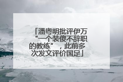 潘粤明批评伊万“一个装傻不辞职的教练”，此前多次发文评价国足