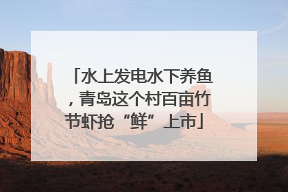 水上发电水下养鱼，青岛这个村百亩竹节虾抢“鲜”上市