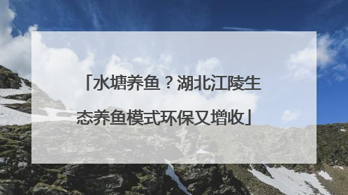 水塘养鱼？湖北江陵生态养鱼模式环保又增收