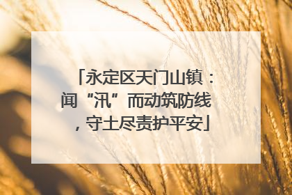 永定区天门山镇：闻“汛”而动筑防线，守土尽责护平安