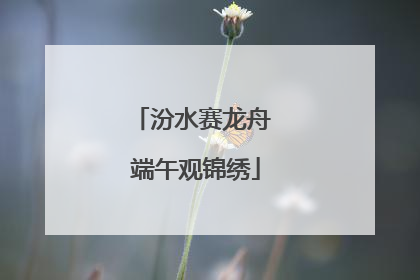 汾水赛龙舟 端午观锦绣