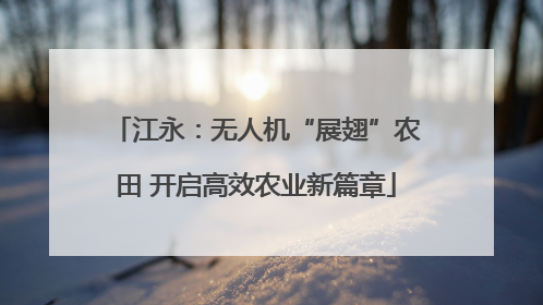 江永：无人机“展翅”农田 开启高效农业新篇章