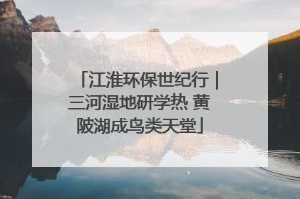 江淮环保世纪行｜三河湿地研学热 黄陂湖成鸟类天堂