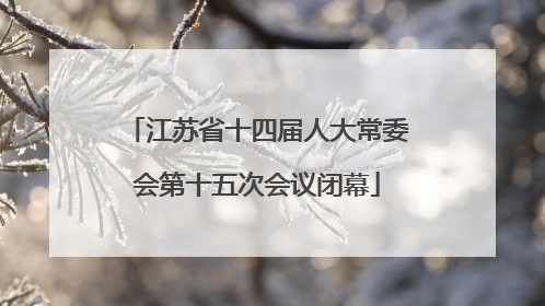 江苏省十四届人大常委会第十五次会议闭幕