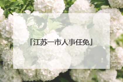 江苏一市人事任免