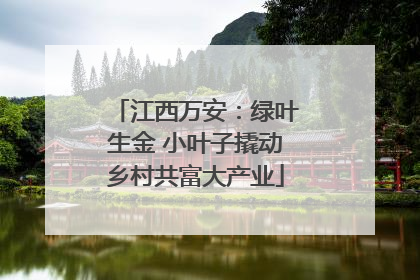 江西万安：绿叶生金 小叶子撬动乡村共富大产业