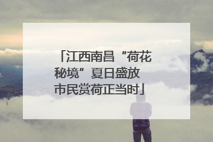 江西南昌“荷花秘境”夏日盛放 市民赏荷正当时