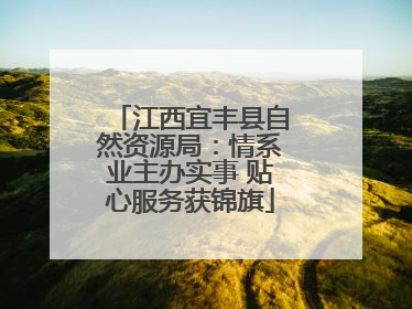 江西宜丰县自然资源局：情系业主办实事 贴心服务获锦旗