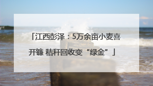 江西彭泽：5万余亩小麦喜开镰 秸秆回收变“绿金”