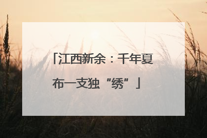 江西新余：千年夏布一支独“绣”