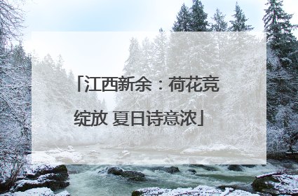江西新余：荷花竞绽放 夏日诗意浓