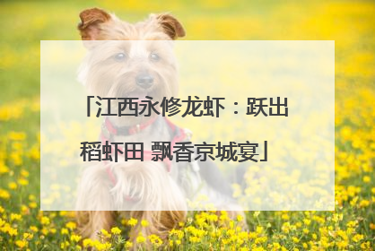 江西永修龙虾：跃出稻虾田 飘香京城宴