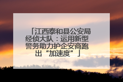 江西泰和县公安局经侦大队：运用新型警务助力护企安商跑出“加速度”