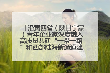 沿黄四省（陕甘宁蒙）青年企业家深度融入高质量共建“一带一路”和西部陆海新通道建设战略合作交流会在甘肃兰州召开