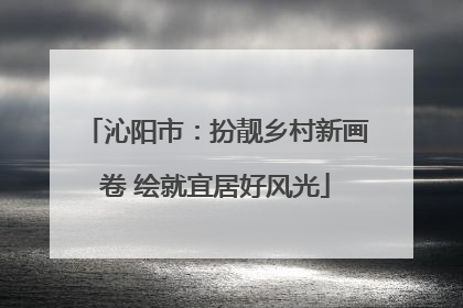 沁阳市：扮靓乡村新画卷 绘就宜居好风光
