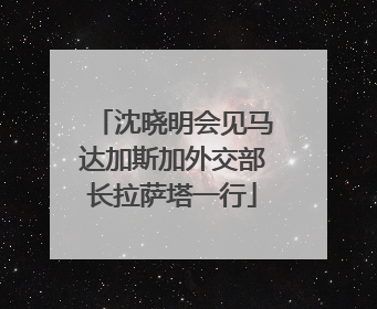 沈晓明会见马达加斯加外交部长拉萨塔一行