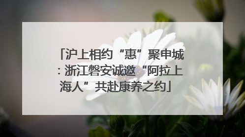 沪上相约“惠”聚申城：浙江磐安诚邀“阿拉上海人”共赴康养之约