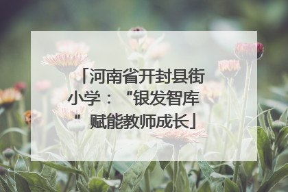 河南省开封县街小学：“银发智库”赋能教师成长