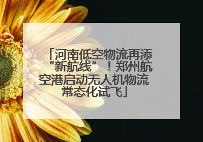 河南低空物流再添“新航线”！郑州航空港启动无人机物流常态化试飞