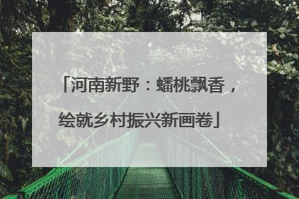 河南新野：蟠桃飘香，绘就乡村振兴新画卷