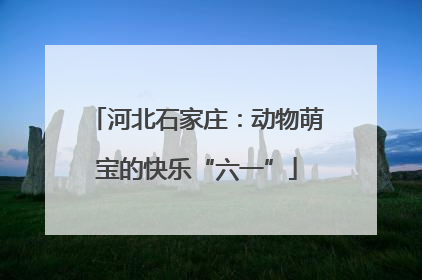 河北石家庄：动物萌宝的快乐“六一”