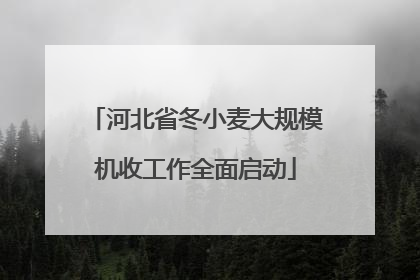 河北省冬小麦大规模机收工作全面启动