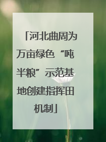 河北曲周为万亩绿色“吨半粮”示范基地创建指挥田机制