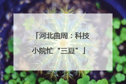 河北曲周：科技小院忙“三夏”