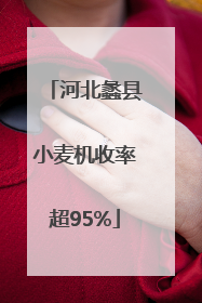 河北蠡县小麦机收率超95%