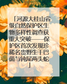 河源大桂山省级自然保护区生物多样性调查获重大突破——保护区首次发现珍稀名贵野生干巴菌与钝尾两头蛇