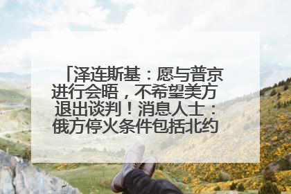 泽连斯基：愿与普京进行会晤，不希望美方退出谈判！消息人士：俄方停火条件包括北约“书面”保证不东扩