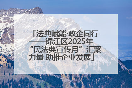 法典赋能·政企同行——锦江区2025年“民法典宣传月”汇聚力量 助推企业发展
