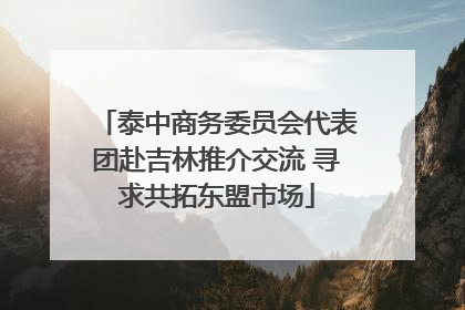 泰中商务委员会代表团赴吉林推介交流 寻求共拓东盟市场