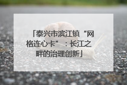 泰兴市滨江镇“网格连心卡”：长江之畔的治理创新