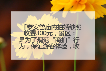 泰安岱庙内拍婚纱照收费300元，景区：是为了规范“商拍”行为，保证游客体验，收取费用全部上交国库
