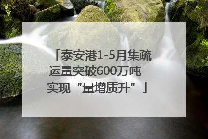 泰安港1-5月集疏运量突破600万吨 实现“量增质升”