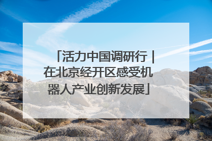 活力中国调研行｜在北京经开区感受机器人产业创新发展