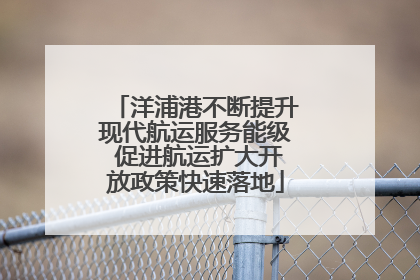 洋浦港不断提升现代航运服务能级 促进航运扩大开放政策快速落地