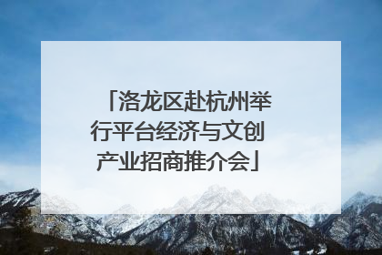 洛龙区赴杭州举行平台经济与文创产业招商推介会