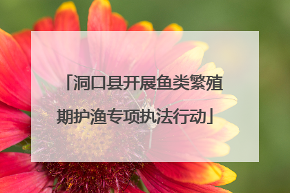 洞口县开展鱼类繁殖期护渔专项执法行动