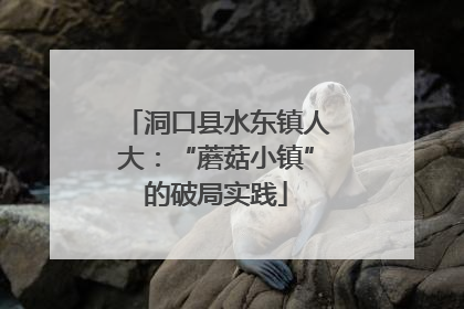 洞口县水东镇人大：“蘑菇小镇”的破局实践