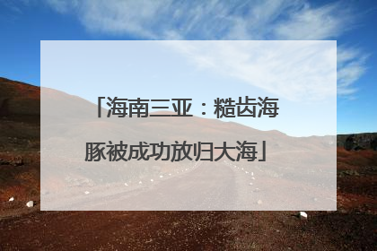 海南三亚：糙齿海豚被成功放归大海