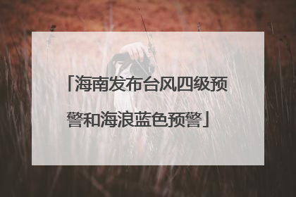 海南发布台风四级预警和海浪蓝色预警