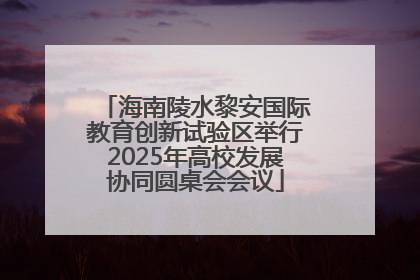 海南陵水黎安国际教育创新试验区举行2025年高校发展协同圆桌会会议