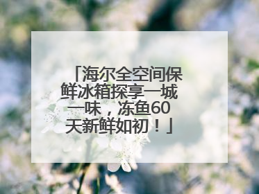 海尔全空间保鲜冰箱探享一城一味，冻鱼60天新鲜如初！